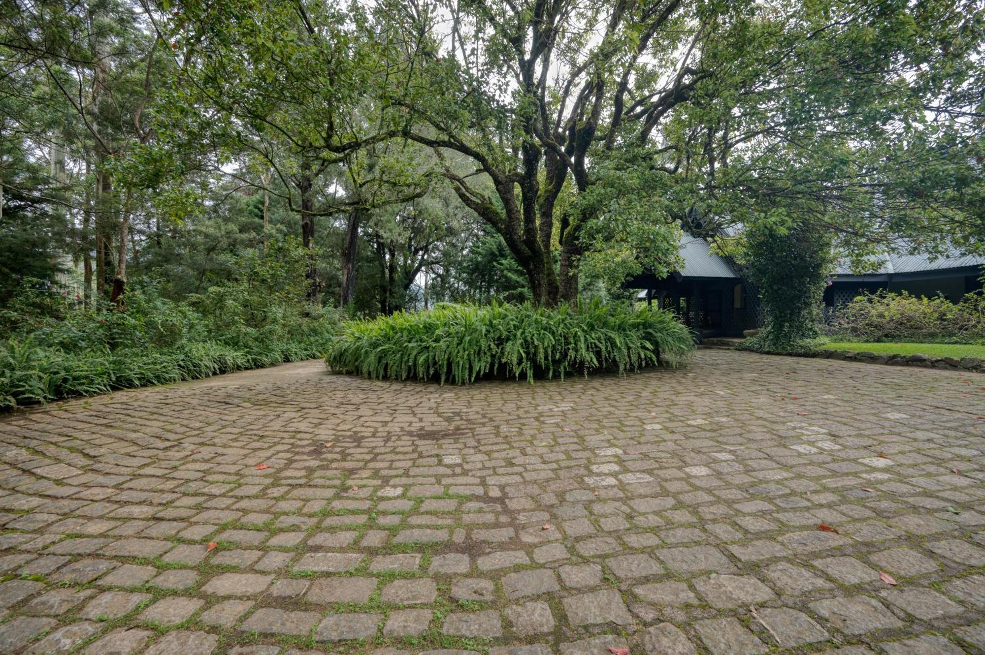 Ferncliff Bungalow نوفارا إيلِيا المظهر الخارجي الصورة