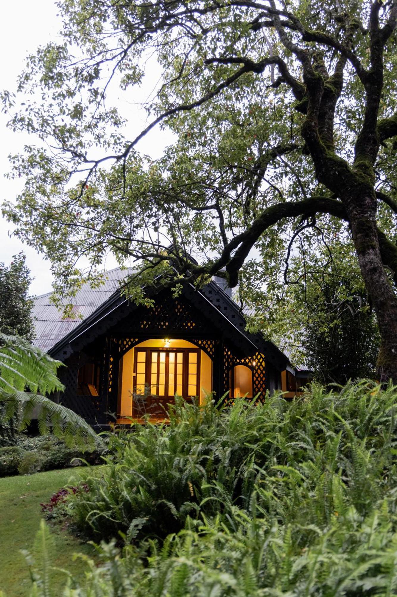 Ferncliff Bungalow نوفارا إيلِيا المظهر الخارجي الصورة