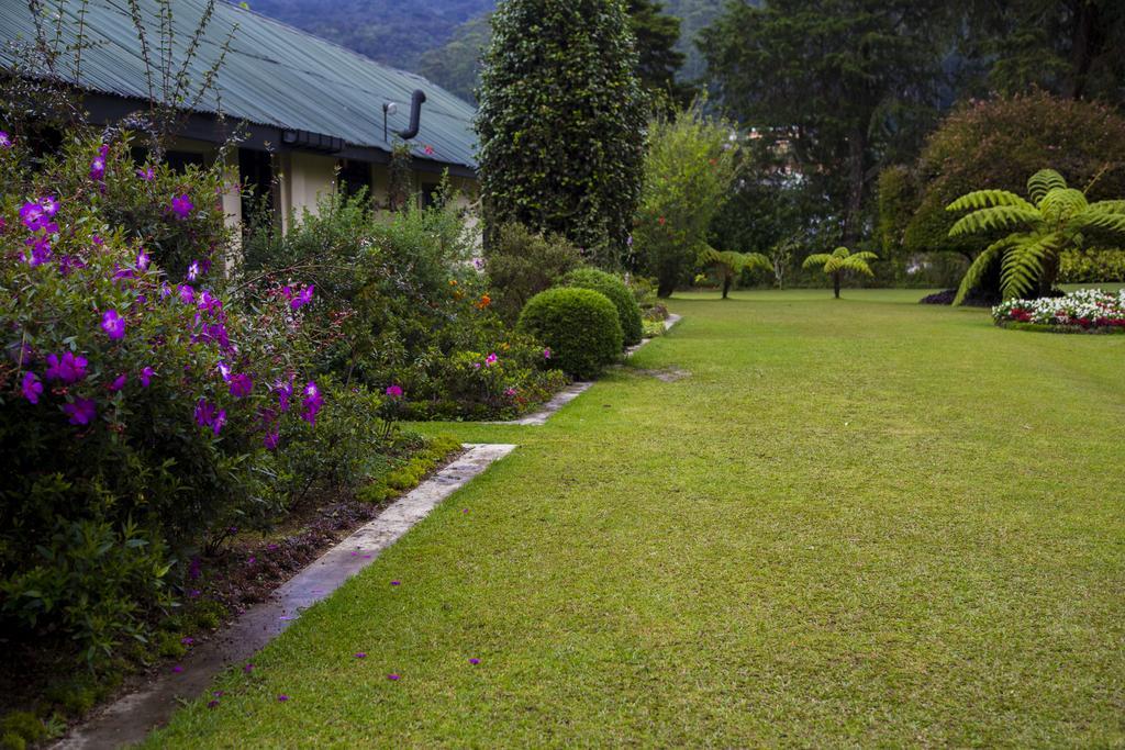 Ferncliff Bungalow نوفارا إيلِيا المظهر الخارجي الصورة
