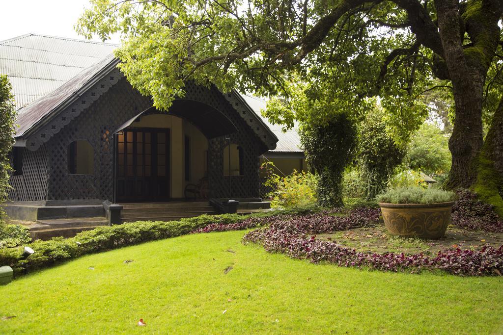 Ferncliff Bungalow نوفارا إيلِيا المظهر الخارجي الصورة