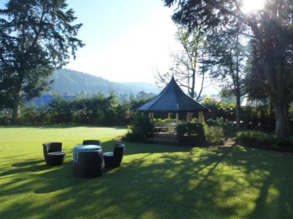 Ferncliff Bungalow نوفارا إيلِيا المظهر الخارجي الصورة